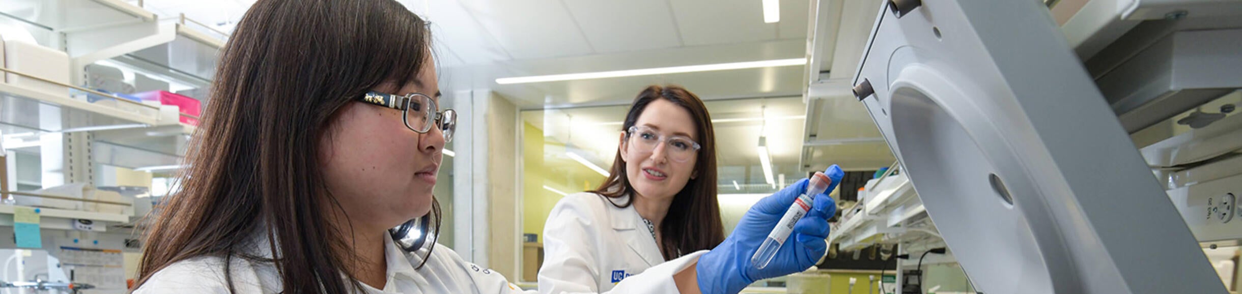 students working in the lab