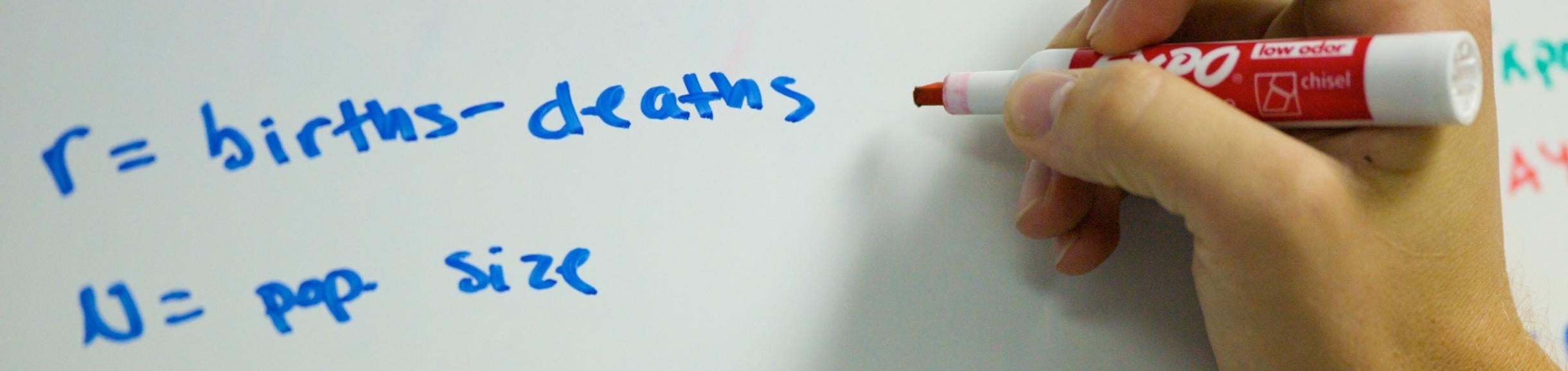 writing on a whiteboard