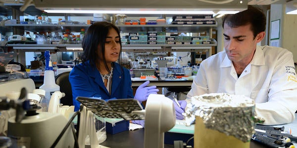 Researchers in lab at bench