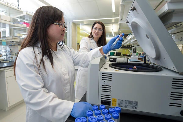 students working in the lab