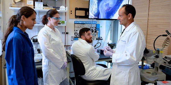 students working in lab with Prof. Garcia Castro
