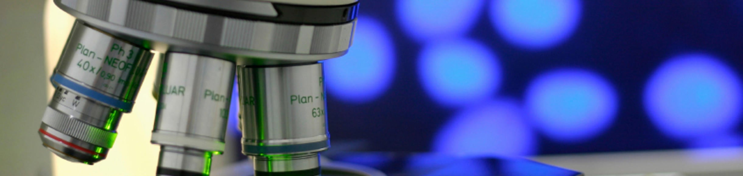 Microscope and Screen