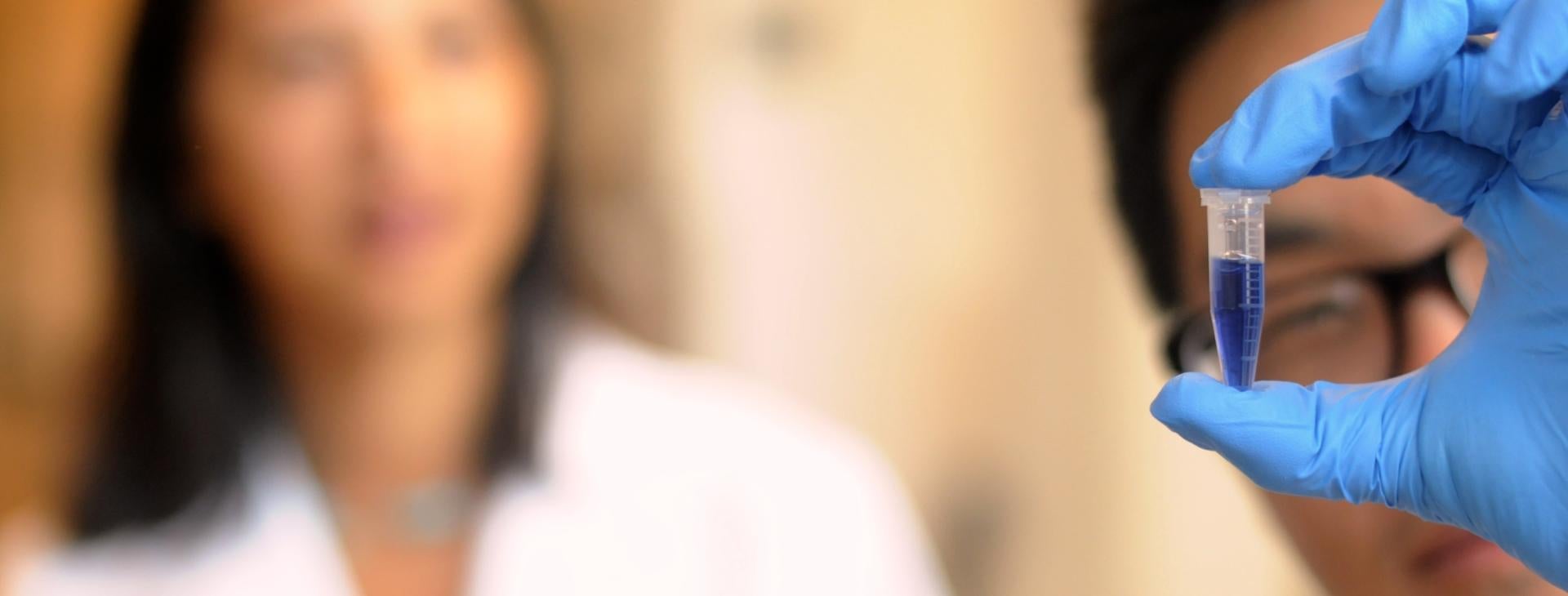 254_banner_image student looking at sample