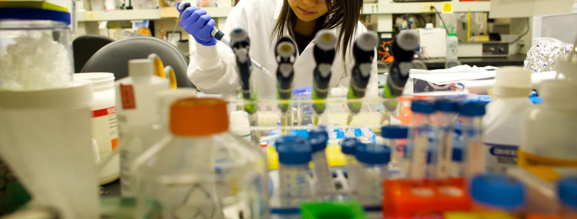 combined_ph.d_banner working in the lab
