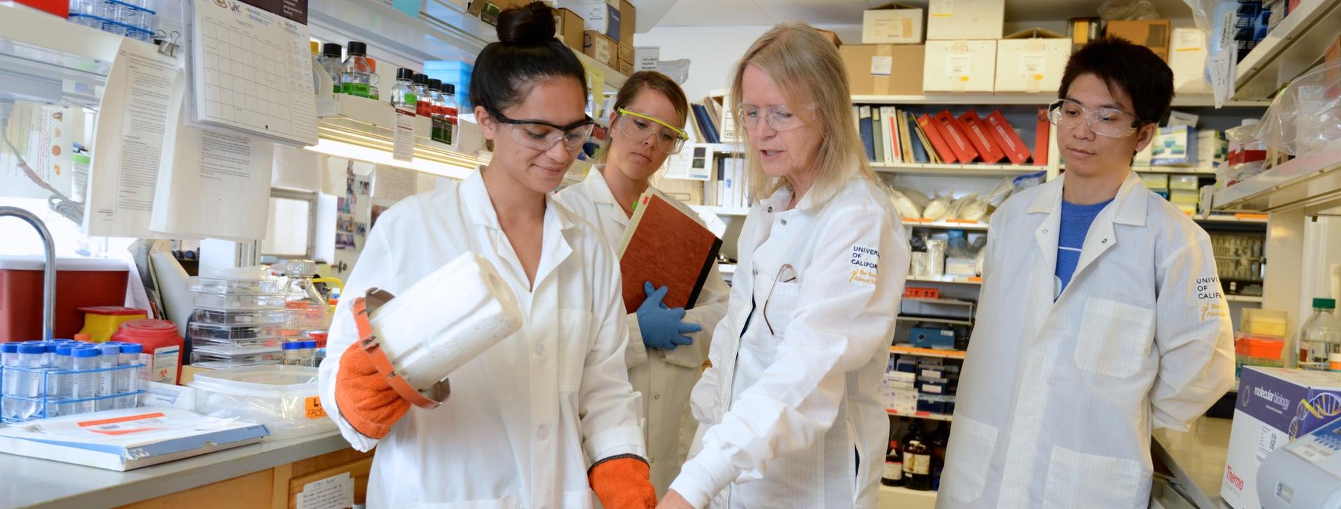 masters_curriculum_banner Working with Dr. Walker in lab