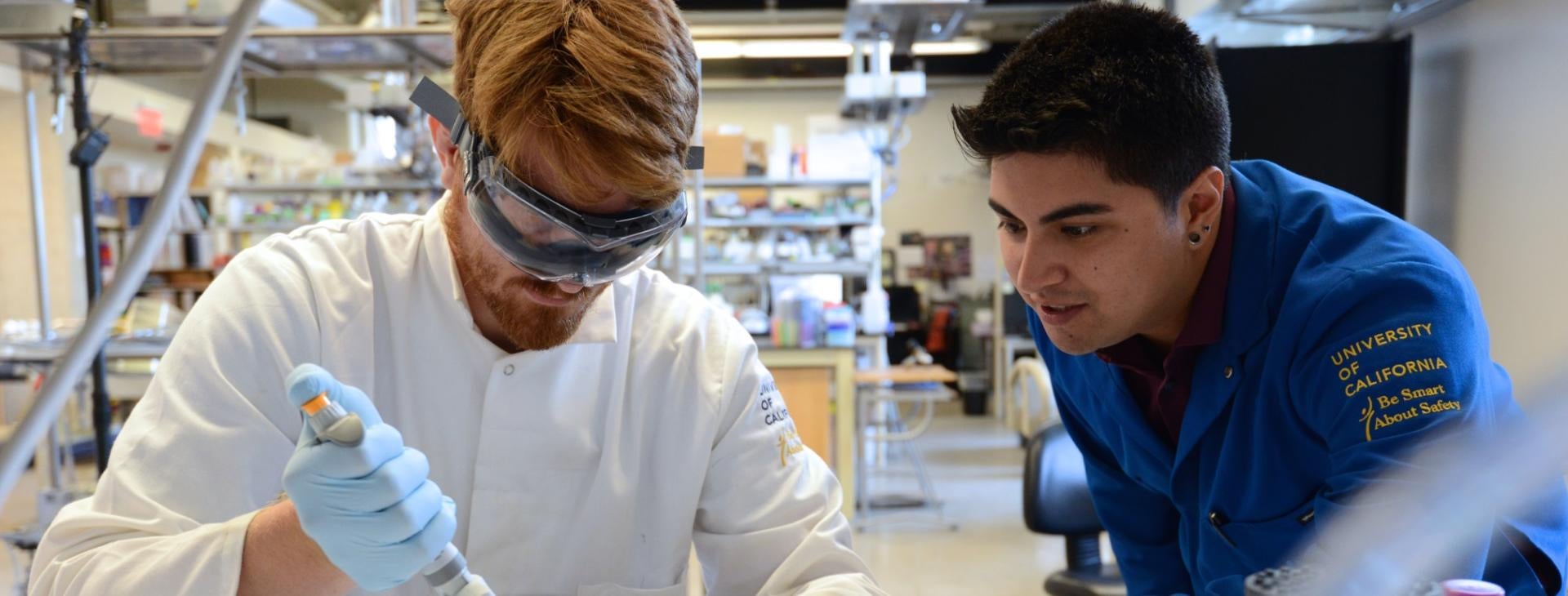 phd_banner Working at the bench