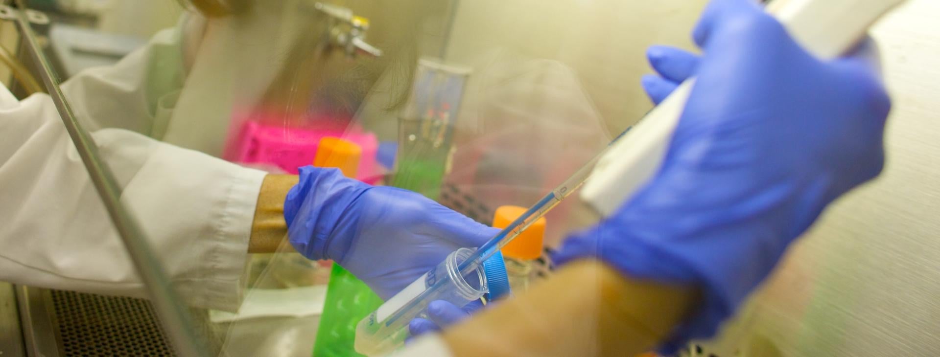 ph.d. program banner pippetting in lab